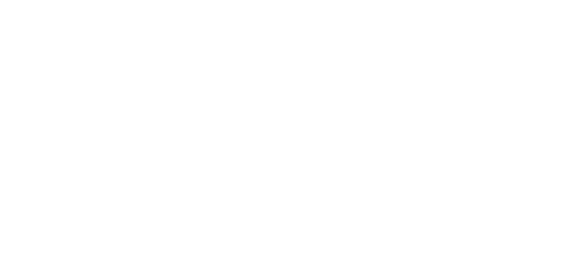 CCGA 2024 Logo White